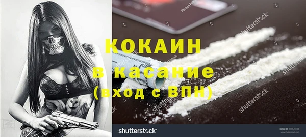 гашик Вязьма